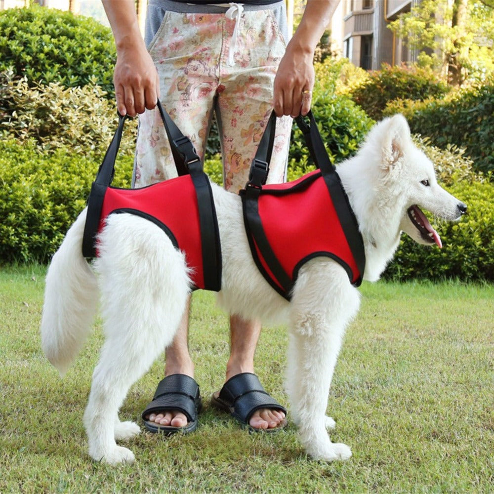 KFX-3778365 Single Shoulder Lifting Strap for Dogs and Large Pets – Neoprene Support for Easy Mobility