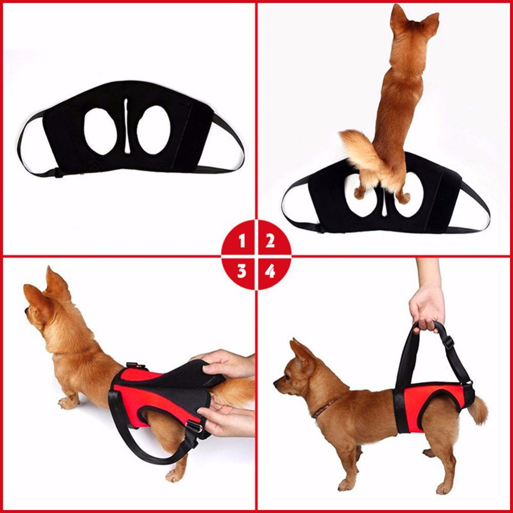 KFX-3778365 Single Shoulder Lifting Strap for Dogs and Large Pets – Neoprene Support for Easy Mobility