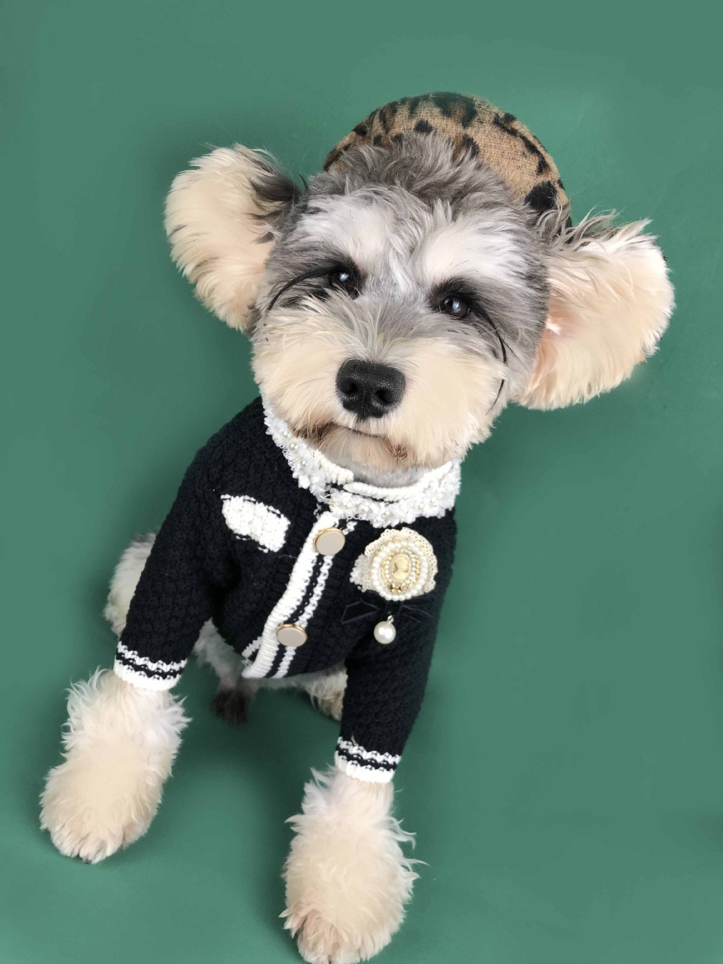 KFX-3782845 Spring Dog Sweater Cardigan for Small Breeds - Perfect for Schnauzer & Pomeranian