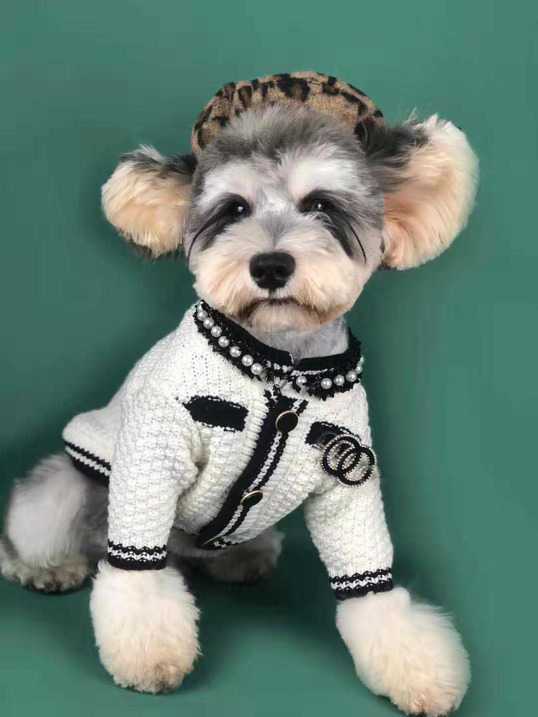 KFX-3782845 Spring Dog Sweater Cardigan for Small Breeds - Perfect for Schnauzer & Pomeranian