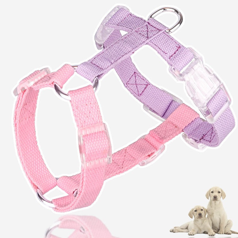 KFX-3784125 Color-Coded Pet Leash and Anti-Breakaway Chest Strap for Dogs and Cats, Comfortable Nylon Design