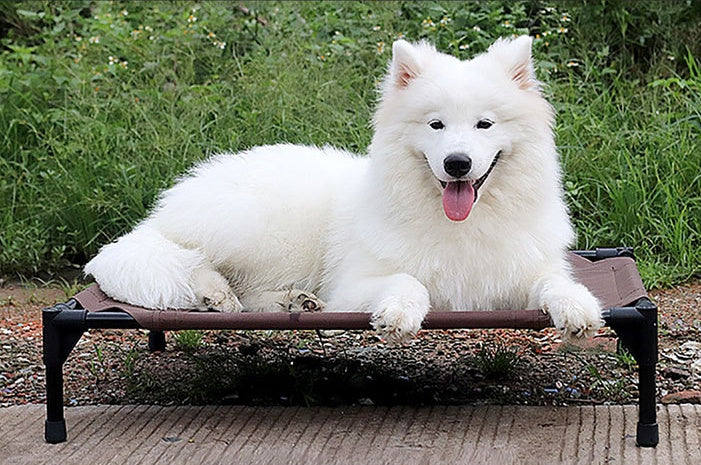 KFX-3789245 Moisture-Proof Removable Washable Oxford Cloth Pet Bed with Metal Frame