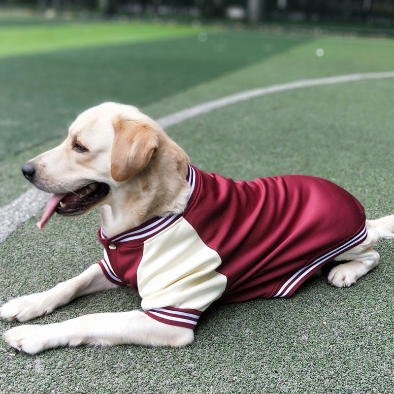 KFX-3792957 Stylish Baseball Uniform Pet Clothing for Medium to Extra-Large Dogs in Wine Red, Blue, and Navy Blue
