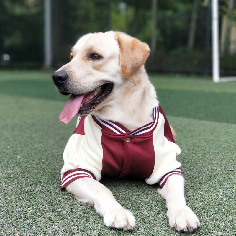 KFX-3792957 Stylish Baseball Uniform Pet Clothing for Medium to Extra-Large Dogs in Wine Red, Blue, and Navy Blue