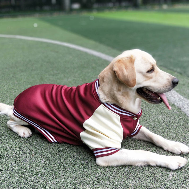 KFX-3792957 Stylish Baseball Uniform Pet Clothing for Medium to Extra-Large Dogs in Wine Red, Blue, and Navy Blue