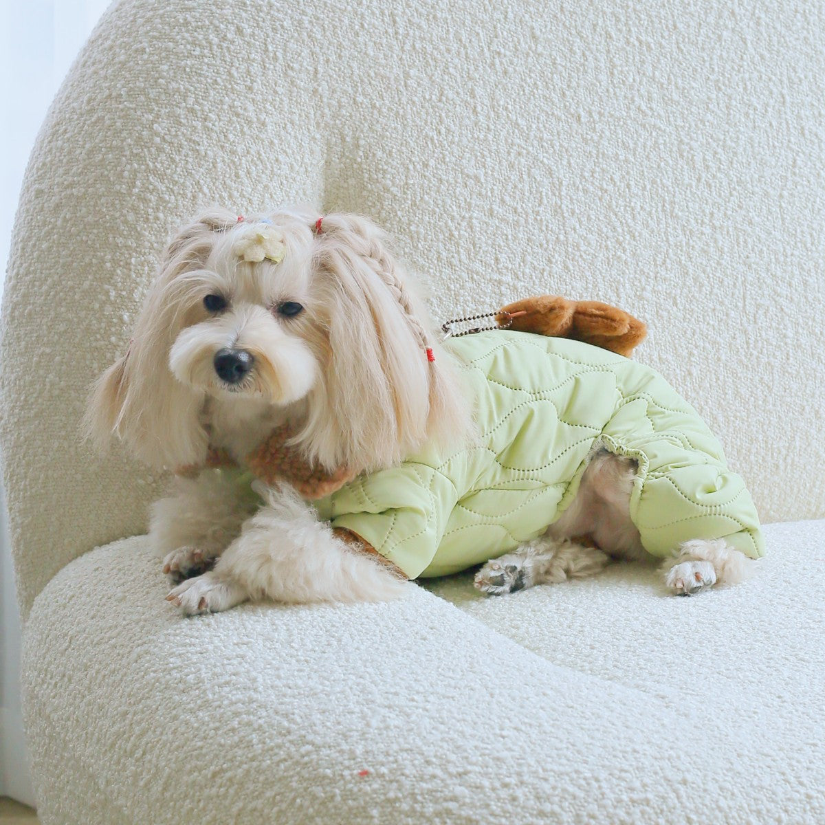 KFX-3795133 Light Green Extra Thick Band Pet Clothing with Toy Bear Pendant - Available in Multiple Sizes