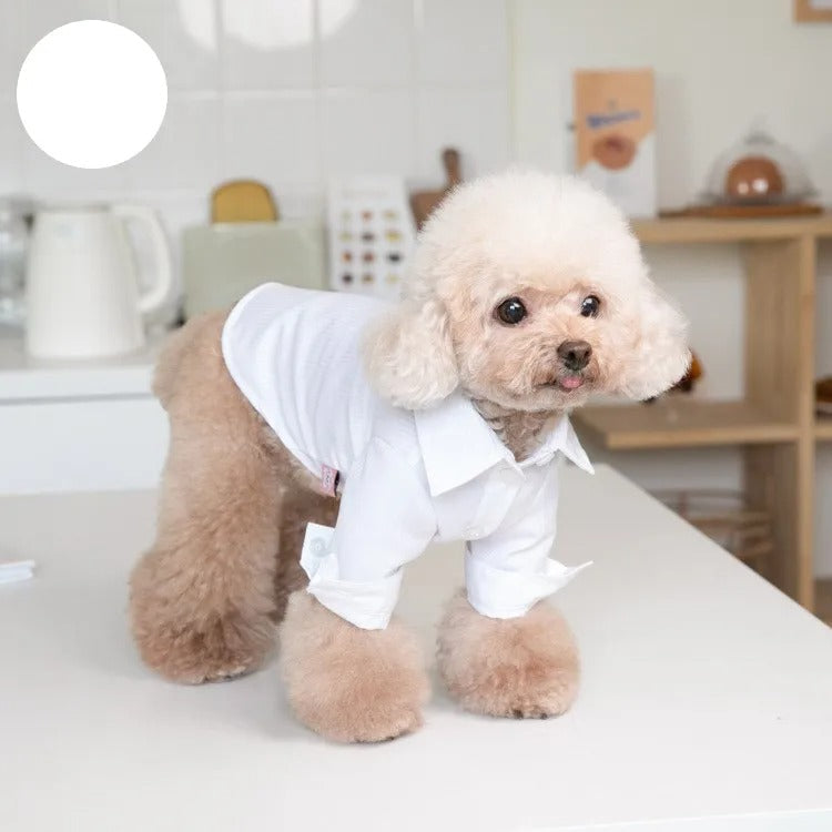 KFX-3796157 Formal Autumn and Winter Shirt for Pets – White Cloth Attire for Dogs and Cats in Various Sizes