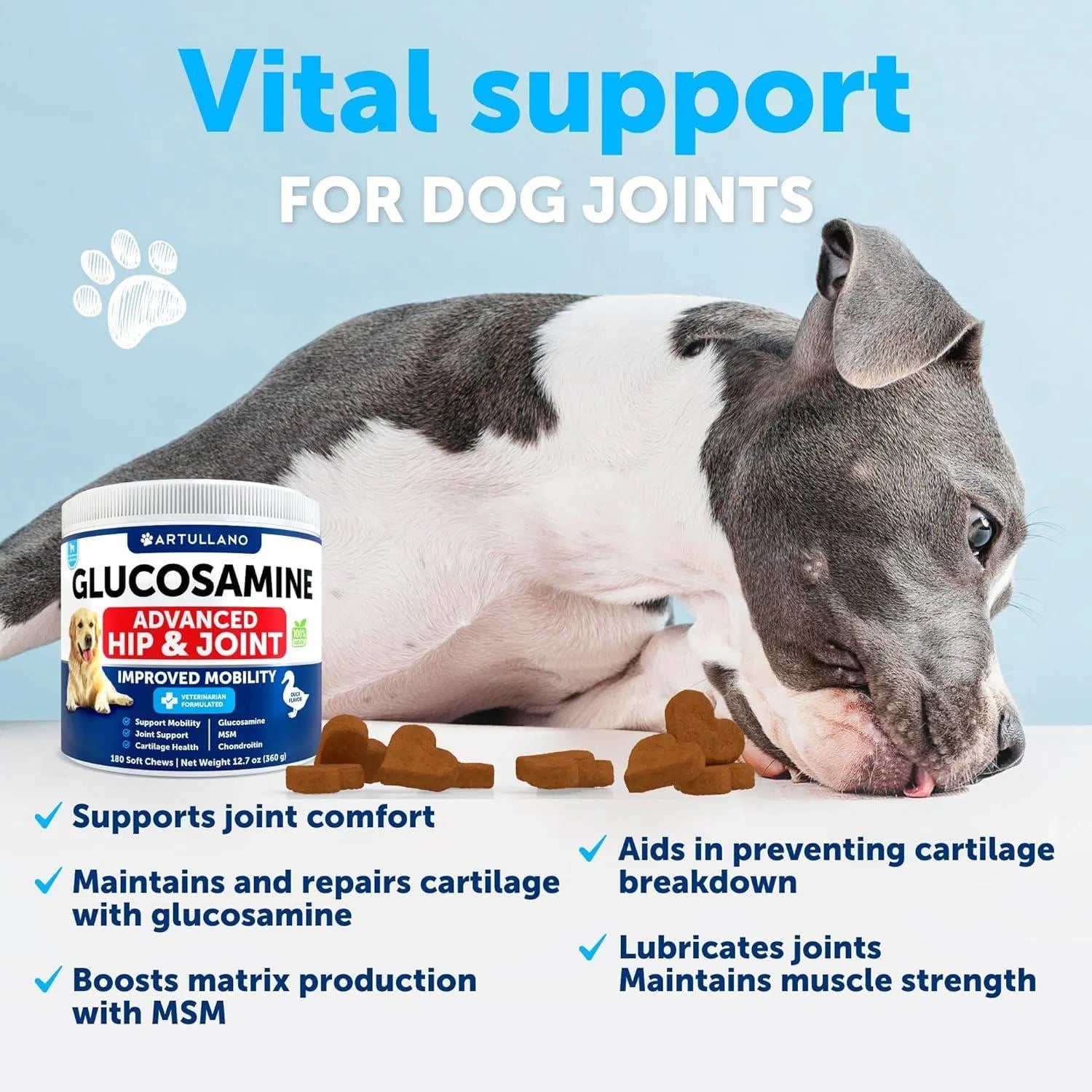 KFX-3796413 Glucosamine Chews for Dogs with Chondroitin and Hemp Oil for Joint Support, 120 Soft Treats