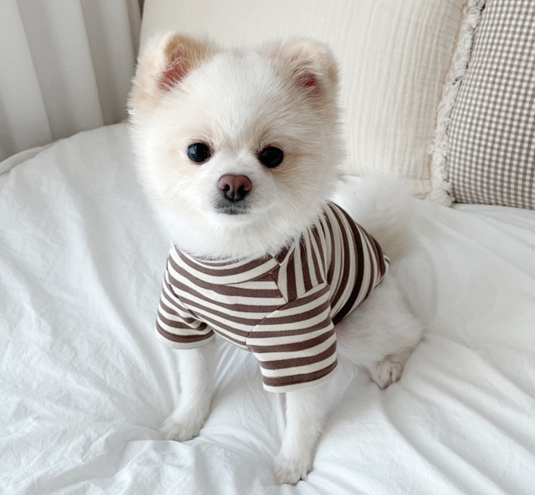KFX-3796925 Lightweight Casual Dog Apparel in Coffee Bar Yellow - XS to XL Sizes Available