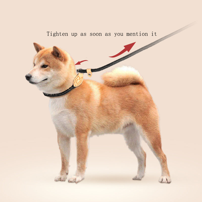 KFX-3803581 Automatic Tightening Dog Leash with P Rope Collar for Blast Race Level Training