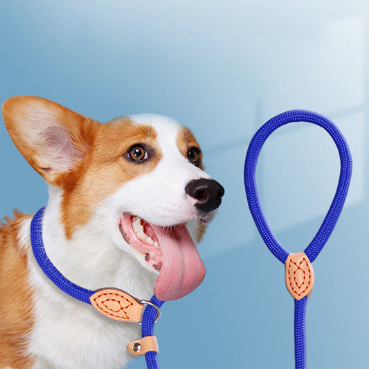KFX-3803581 Automatic Tightening Dog Leash with P Rope Collar for Blast Race Level Training