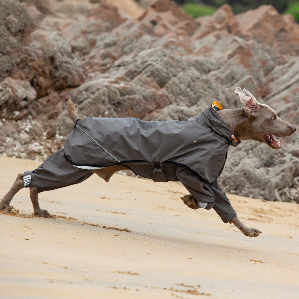 KFX-3803709 Waterproof Four-Legged Raincoat for Medium to Large Dogs in Dark Khaki and Dark Blue