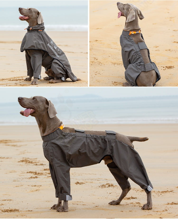 KFX-3803709 Waterproof Four-Legged Raincoat for Medium to Large Dogs in Dark Khaki and Dark Blue