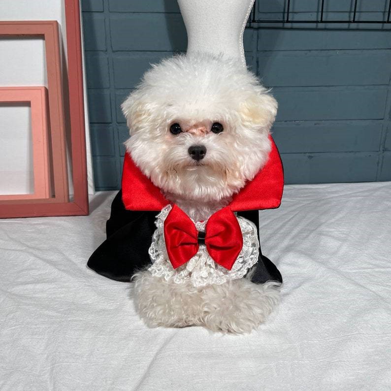 KFX-3804477 Red Vampire Cloak Windbreaker for Pets - XS to XL Size Options
