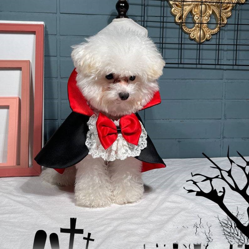 KFX-3804477 Red Vampire Cloak Windbreaker for Pets - XS to XL Size Options