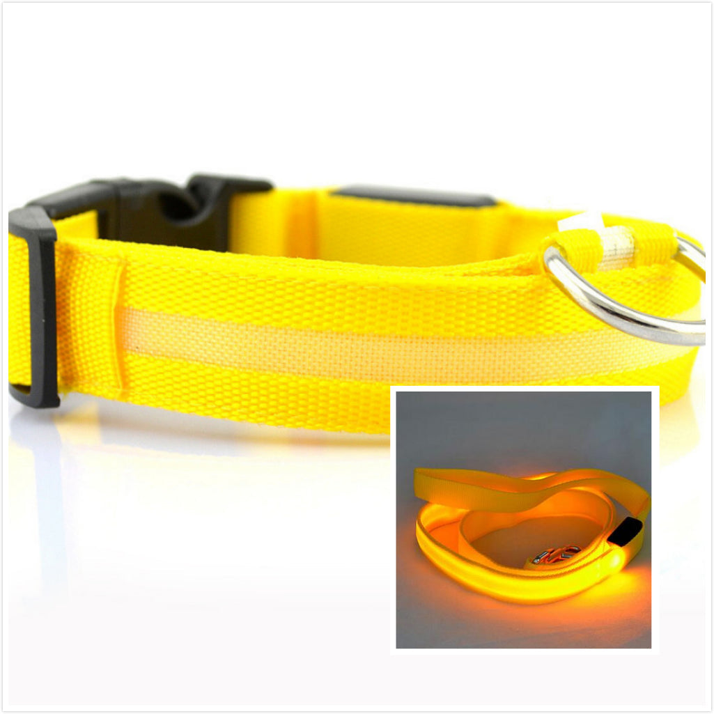 KFX-3805885 LED Illuminated Dog Collar for Day and Night Safety
