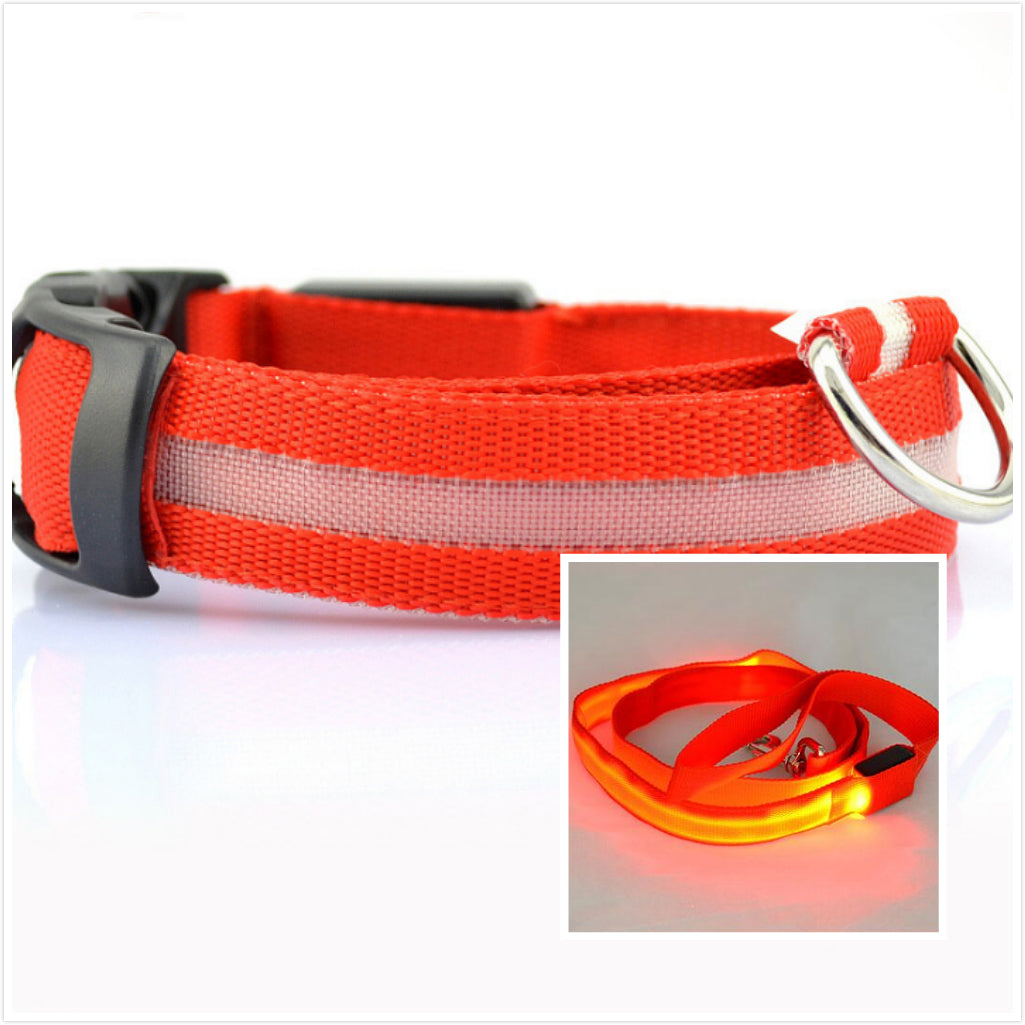 KFX-3805885 LED Illuminated Dog Collar for Day and Night Safety