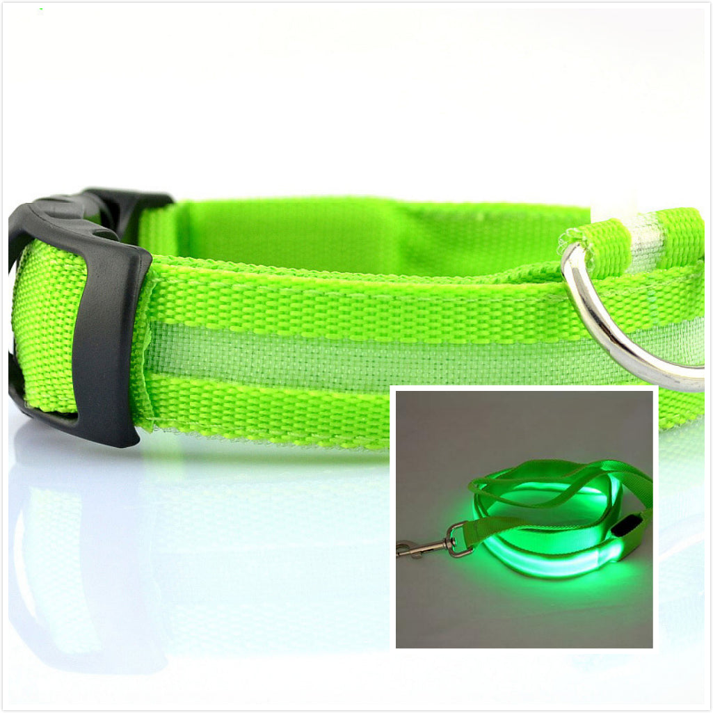 KFX-3805885 LED Illuminated Dog Collar for Day and Night Safety