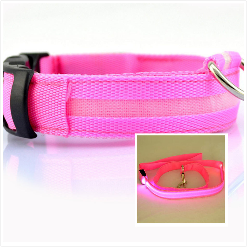 KFX-3805885 LED Illuminated Dog Collar for Day and Night Safety