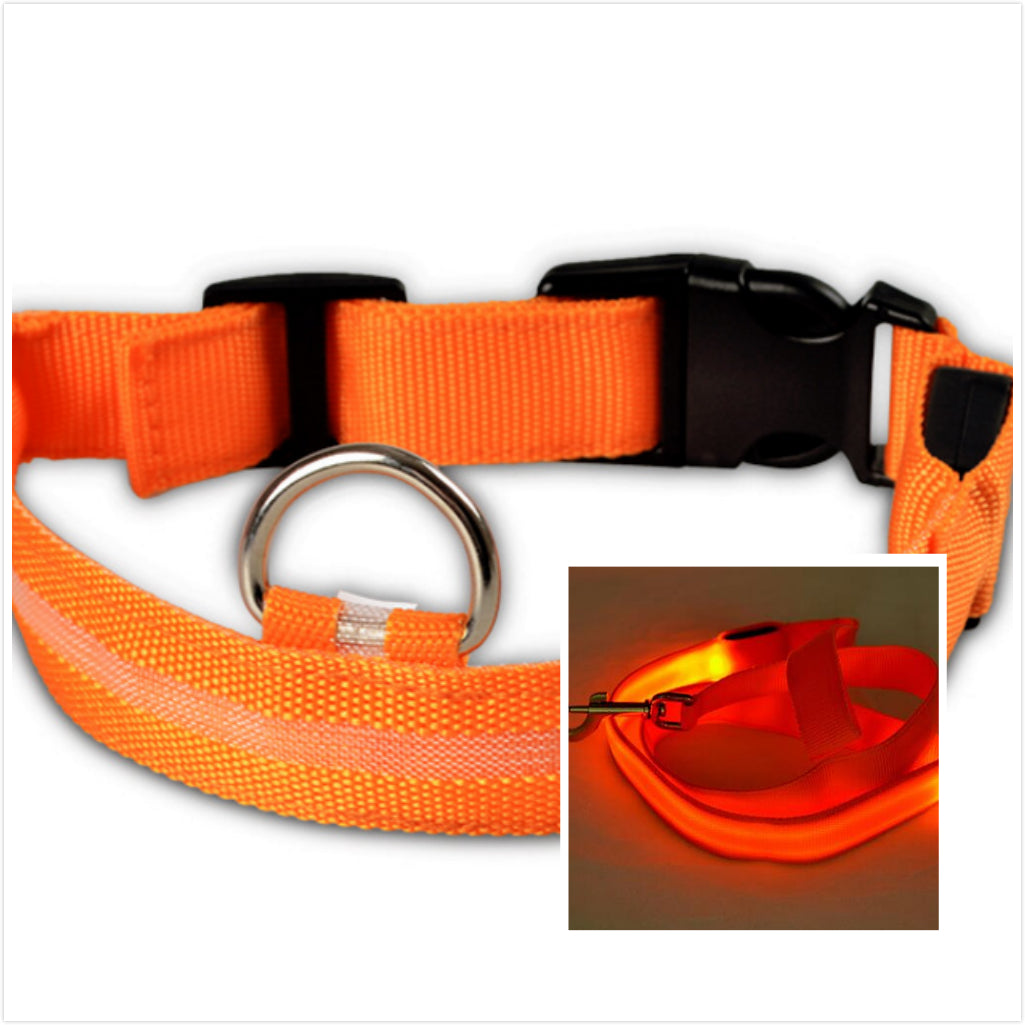 KFX-3805885 LED Illuminated Dog Collar for Day and Night Safety