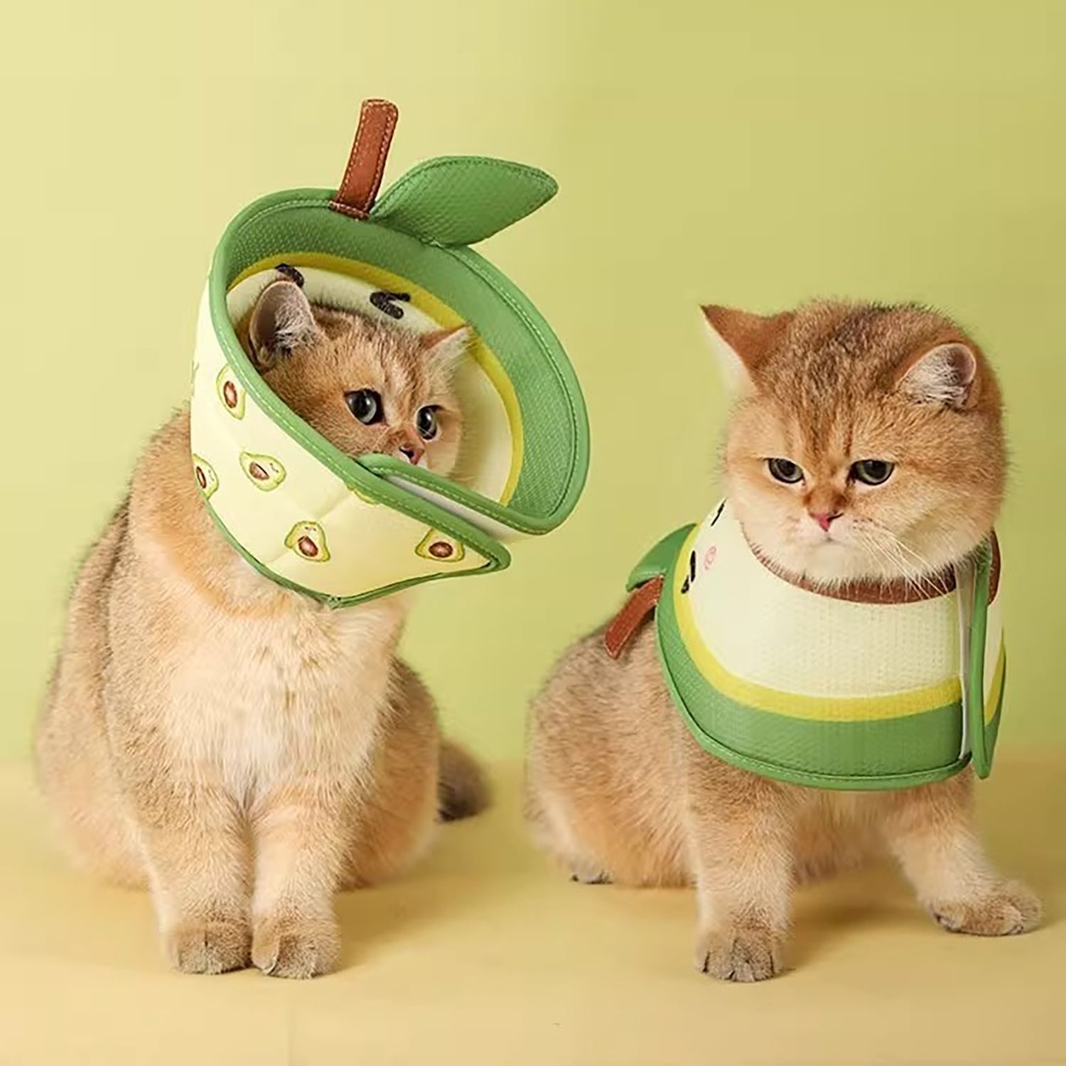 KFX-3809341 Comfortable Adjustable Cat Cone Collar for Post-Surgery Recovery – Soft EPE Material, Scratch and Bite Prevention