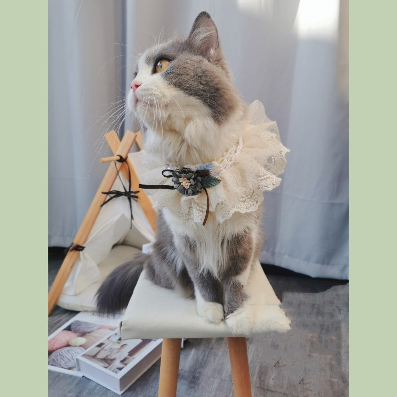 KFX-3809469 Cute Lace Bib for Small to Large Dogs and Cats in Beige, Pink, Apricot, and Malachite Green