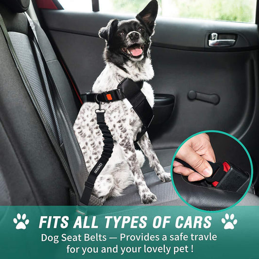 KFX-3817405 Adjustable Pet Seat Belt with Hand Holding Rope for Car Travel