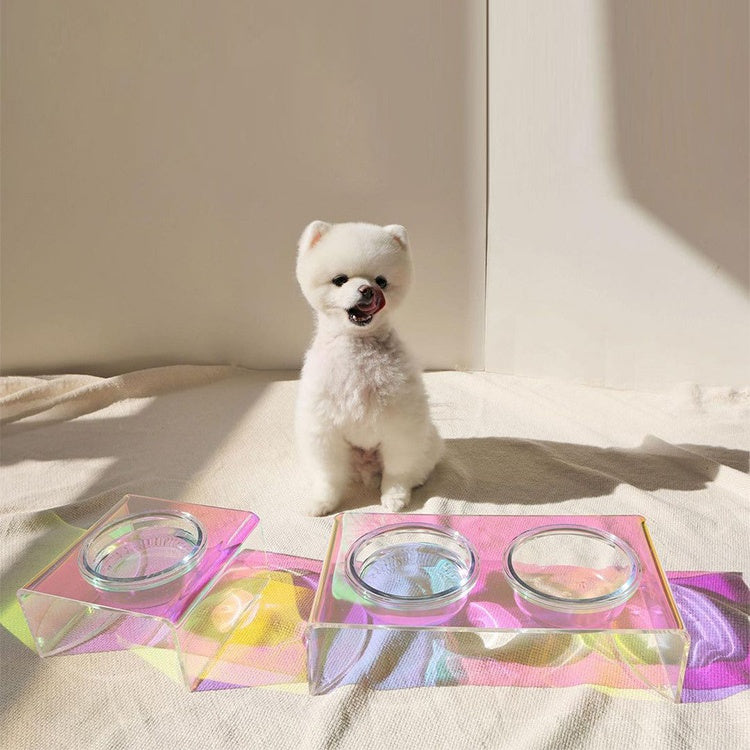 KFX-3817789 Dazzling Acrylic Pet Feeding Bowl for Small Dogs and Cats, Anti-Slip Design, Easy to Clean