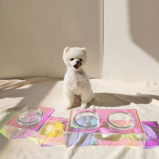 KFX-3817789 Dazzling Acrylic Pet Feeding Bowl for Small Dogs and Cats, Anti-Slip Design, Easy to Clean