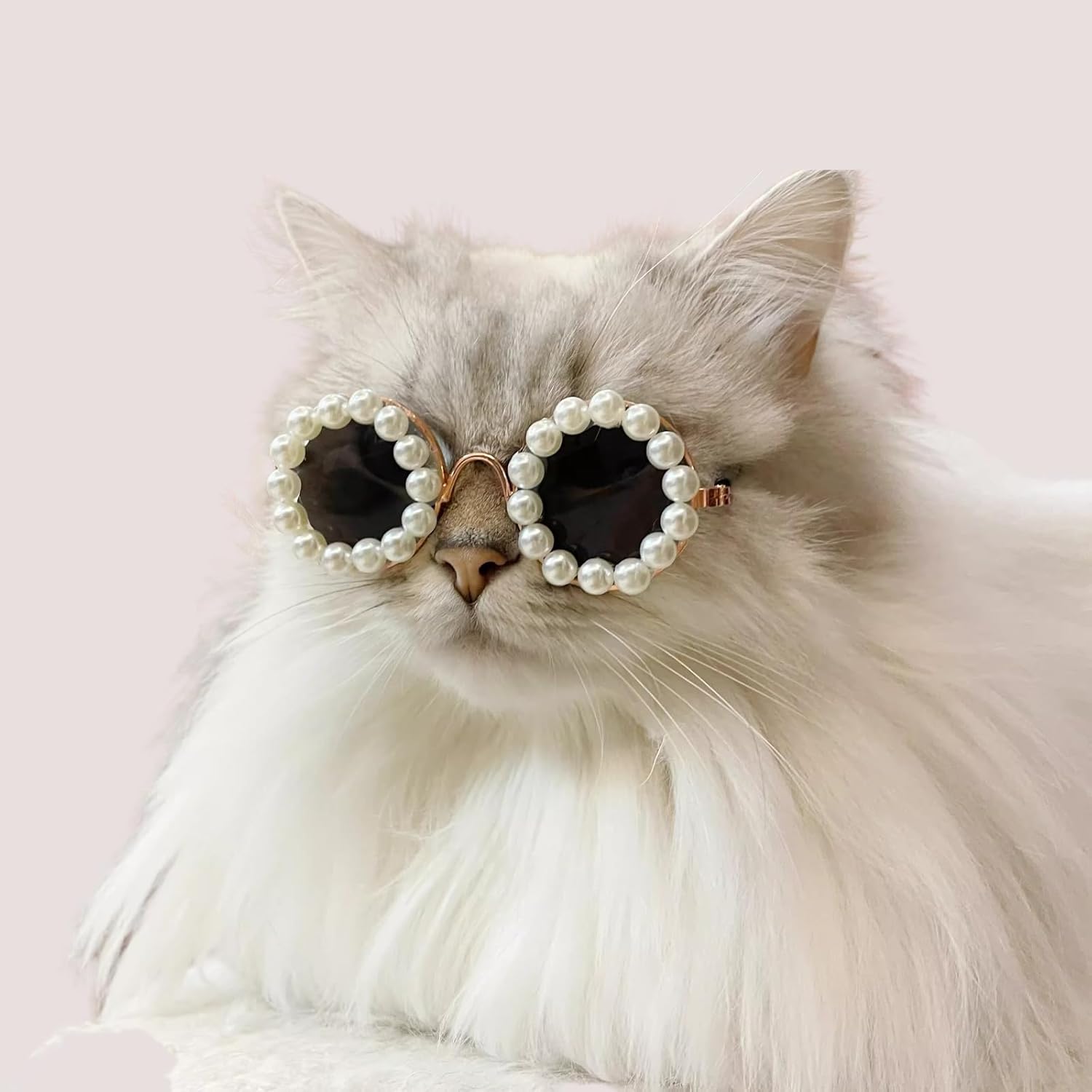 KFX-3820861 Pearl-Rimmed Round Sunglasses for Cats and Dogs - Stylish Costume Accessory for Parties and Celebrations