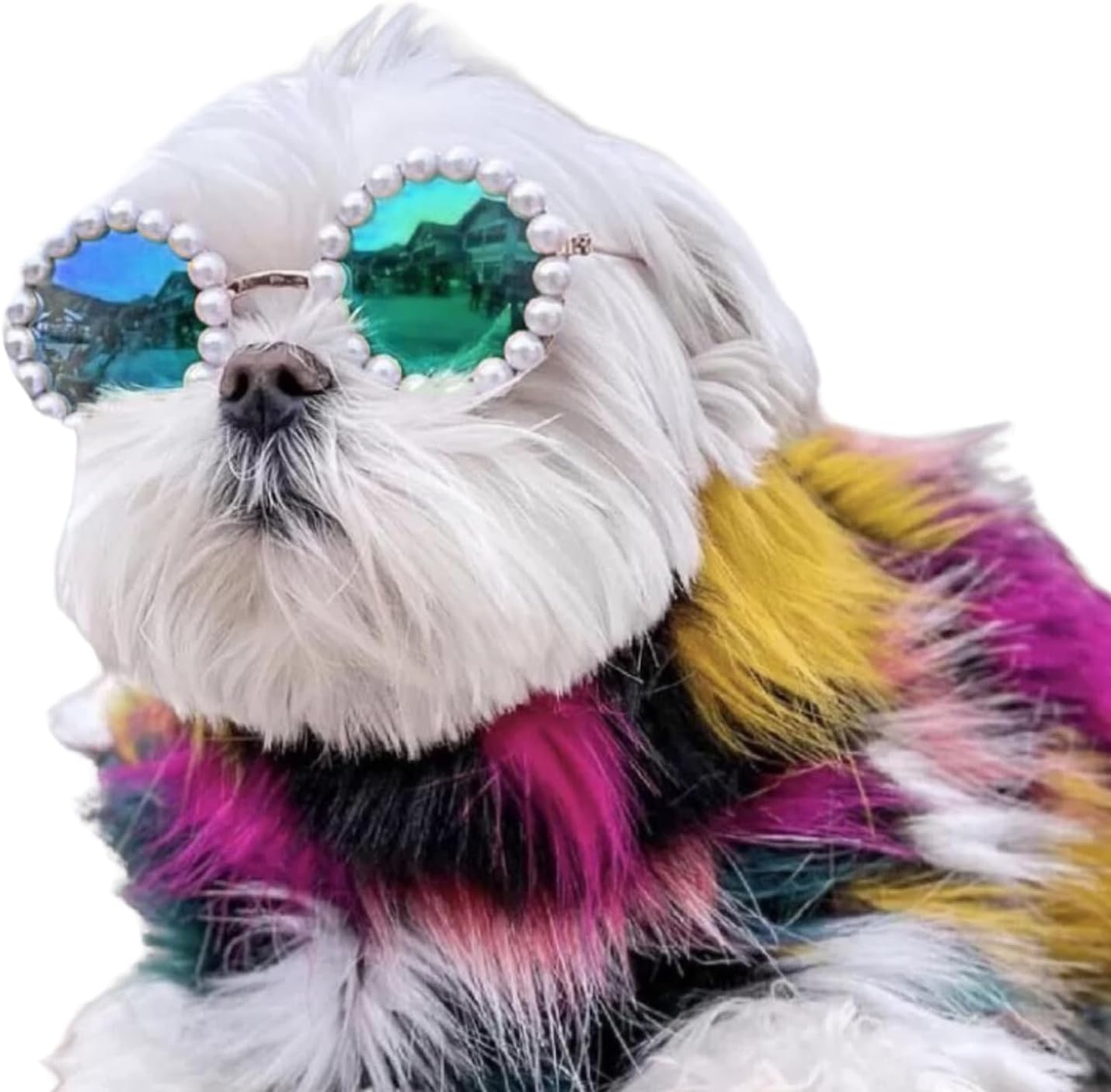 KFX-3820861 Pearl-Rimmed Round Sunglasses for Cats and Dogs - Stylish Costume Accessory for Parties and Celebrations