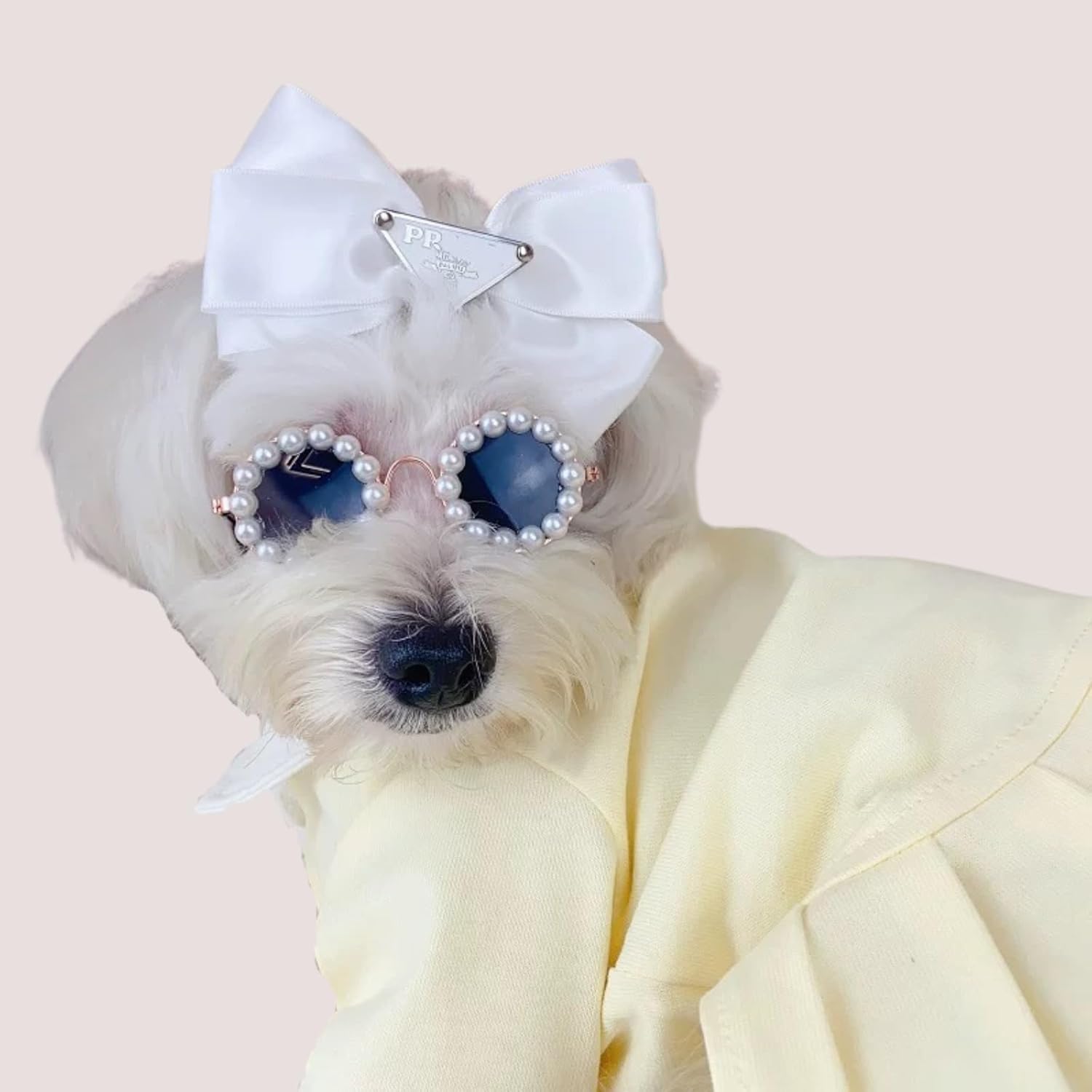KFX-3820861 Pearl-Rimmed Round Sunglasses for Cats and Dogs - Stylish Costume Accessory for Parties and Celebrations