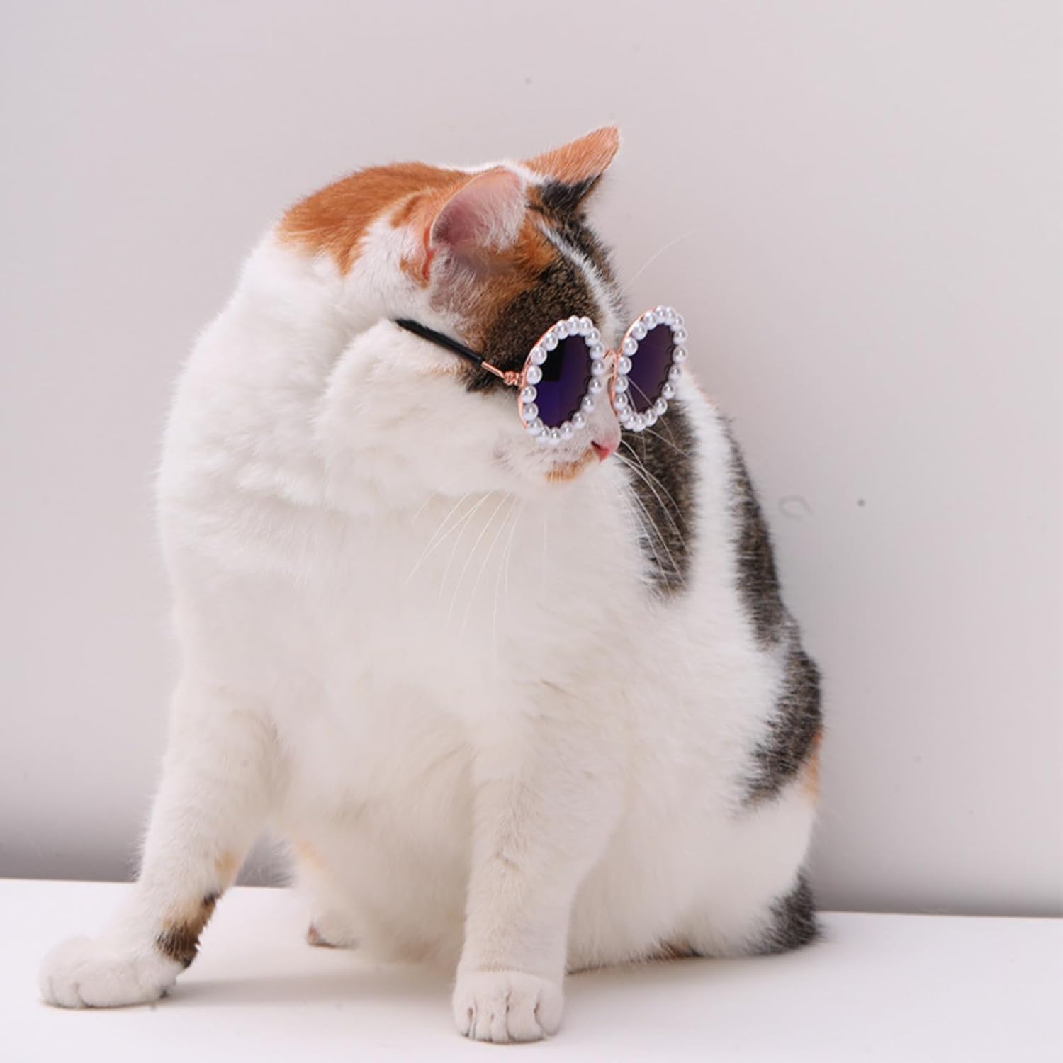 KFX-3820861 Pearl-Rimmed Round Sunglasses for Cats and Dogs - Stylish Costume Accessory for Parties and Celebrations