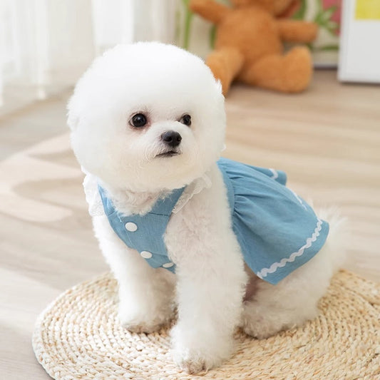 KFX-3822141 Strawberry Denim Skirt for Dogs - Traction Style, Multiple Sizes Available