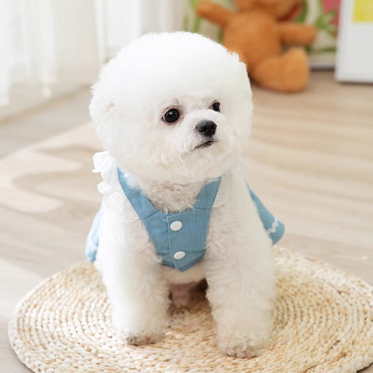 KFX-3822141 Strawberry Denim Skirt for Dogs - Traction Style, Multiple Sizes Available
