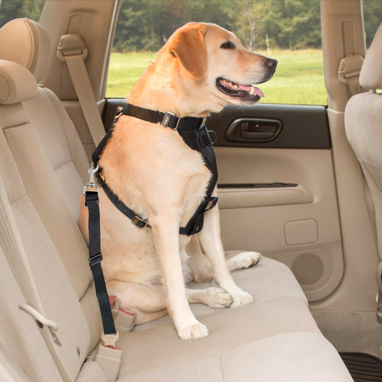 KFX-3823165 Adjustable Retractable Safety Belt Pet Leash - Elastic Polyester Design for Secure Pet Travel