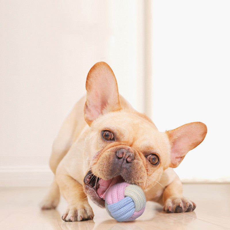 KFX-3824189 Interactive Cotton Rope Ball for Dogs and Cats - Bite Resistant Knot Toy in Macaron Colors