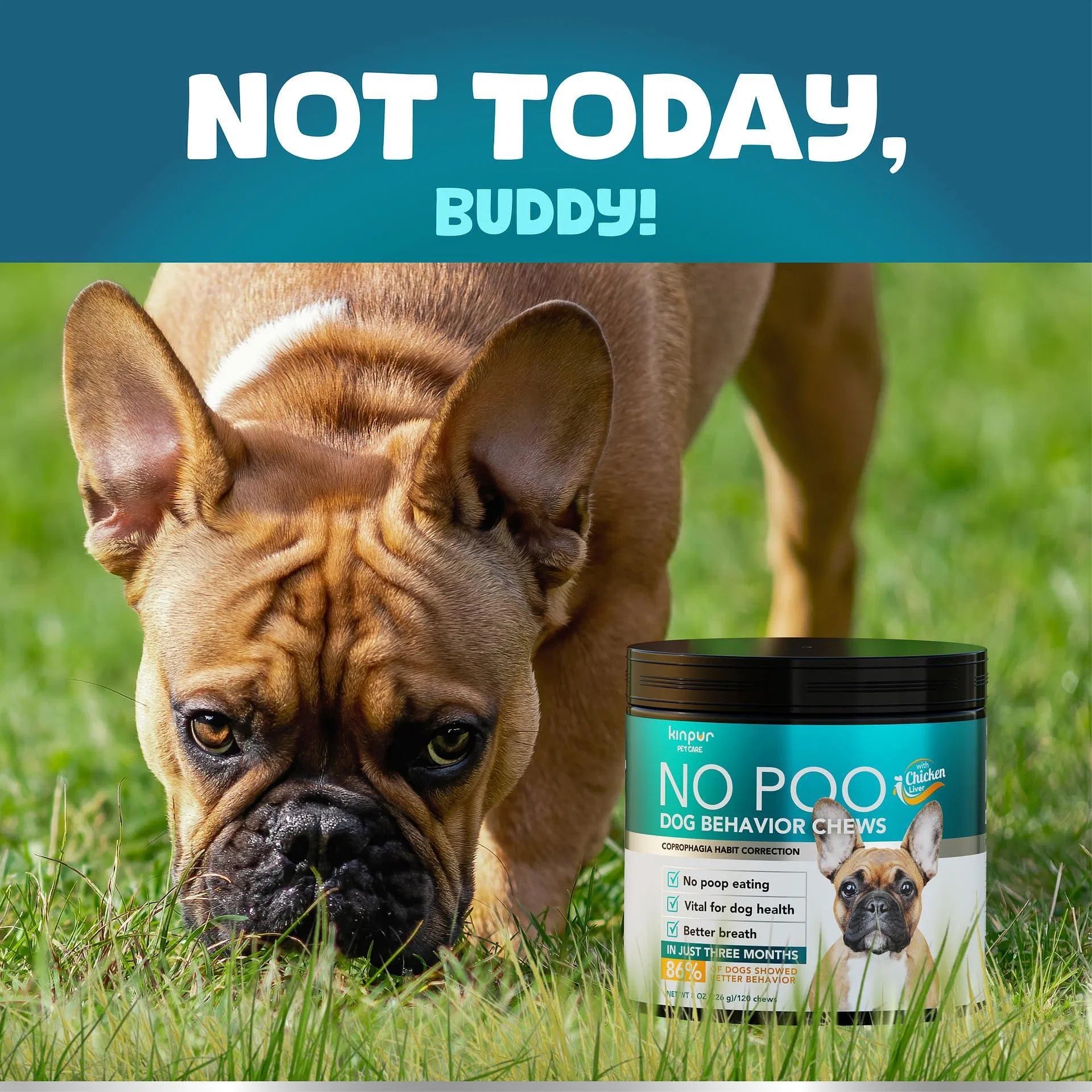 KFX-3829181 No Poo Chews for Dogs - Digestive and Gut Health Supplement, Soft Chews to Discourage Stool Eating, 180 Count