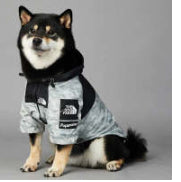KFX-3836477 Light Green Windproof and Rainproof Large Dog Shell Jacket - Sizes S to 5XL