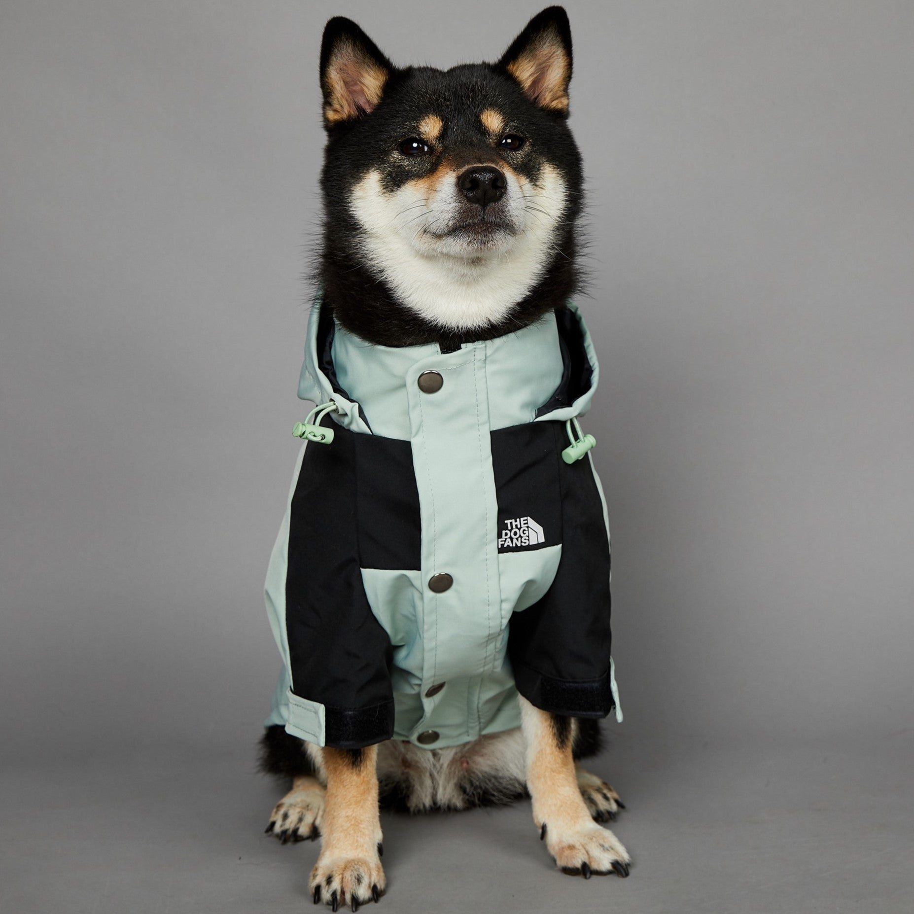 KFX-3836477 Light Green Windproof and Rainproof Large Dog Shell Jacket - Sizes S to 5XL