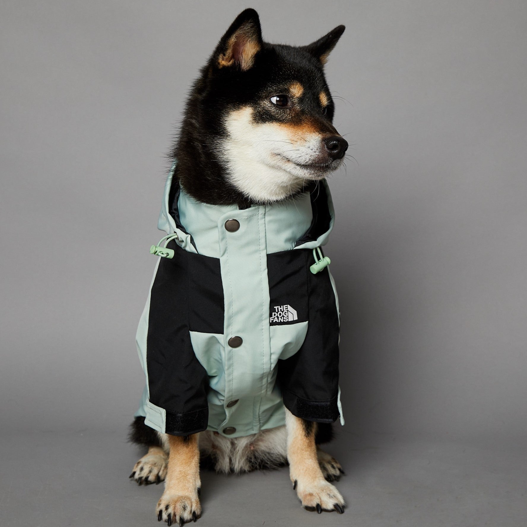 KFX-3836477 Light Green Windproof and Rainproof Large Dog Shell Jacket - Sizes S to 5XL