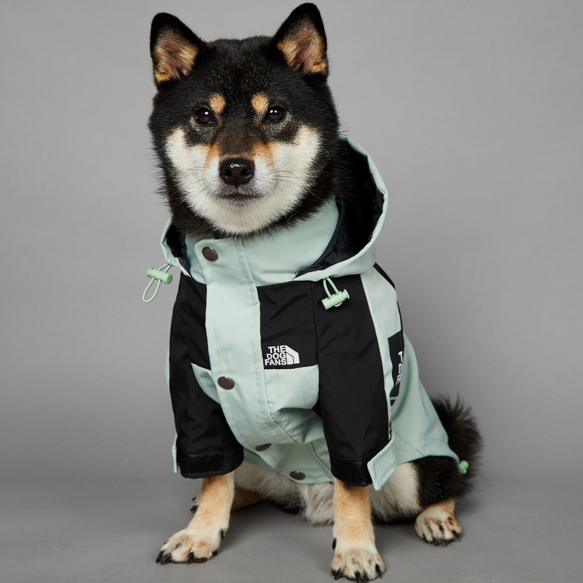 KFX-3836477 Light Green Windproof and Rainproof Large Dog Shell Jacket - Sizes S to 5XL