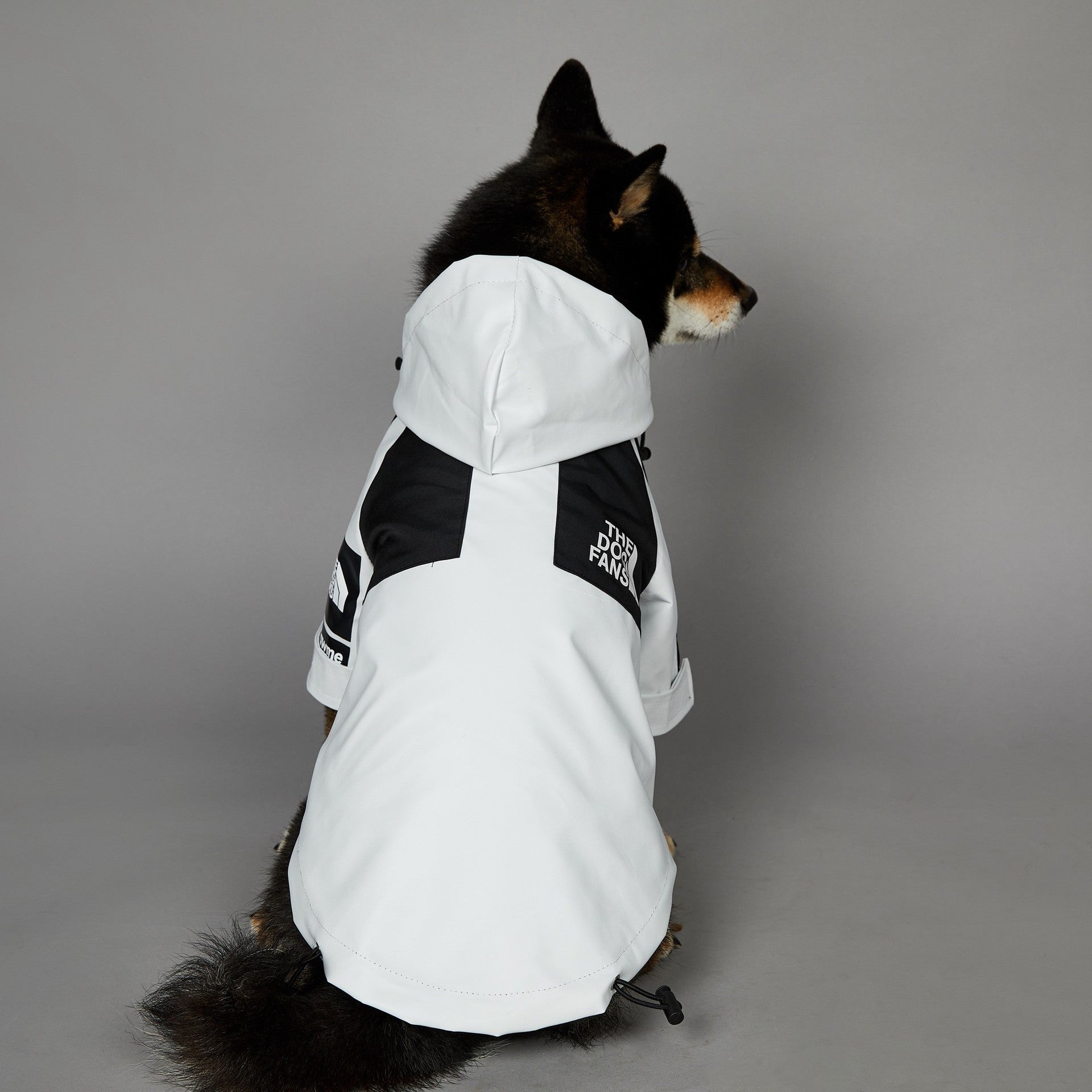 KFX-3836477 Light Green Windproof and Rainproof Large Dog Shell Jacket - Sizes S to 5XL