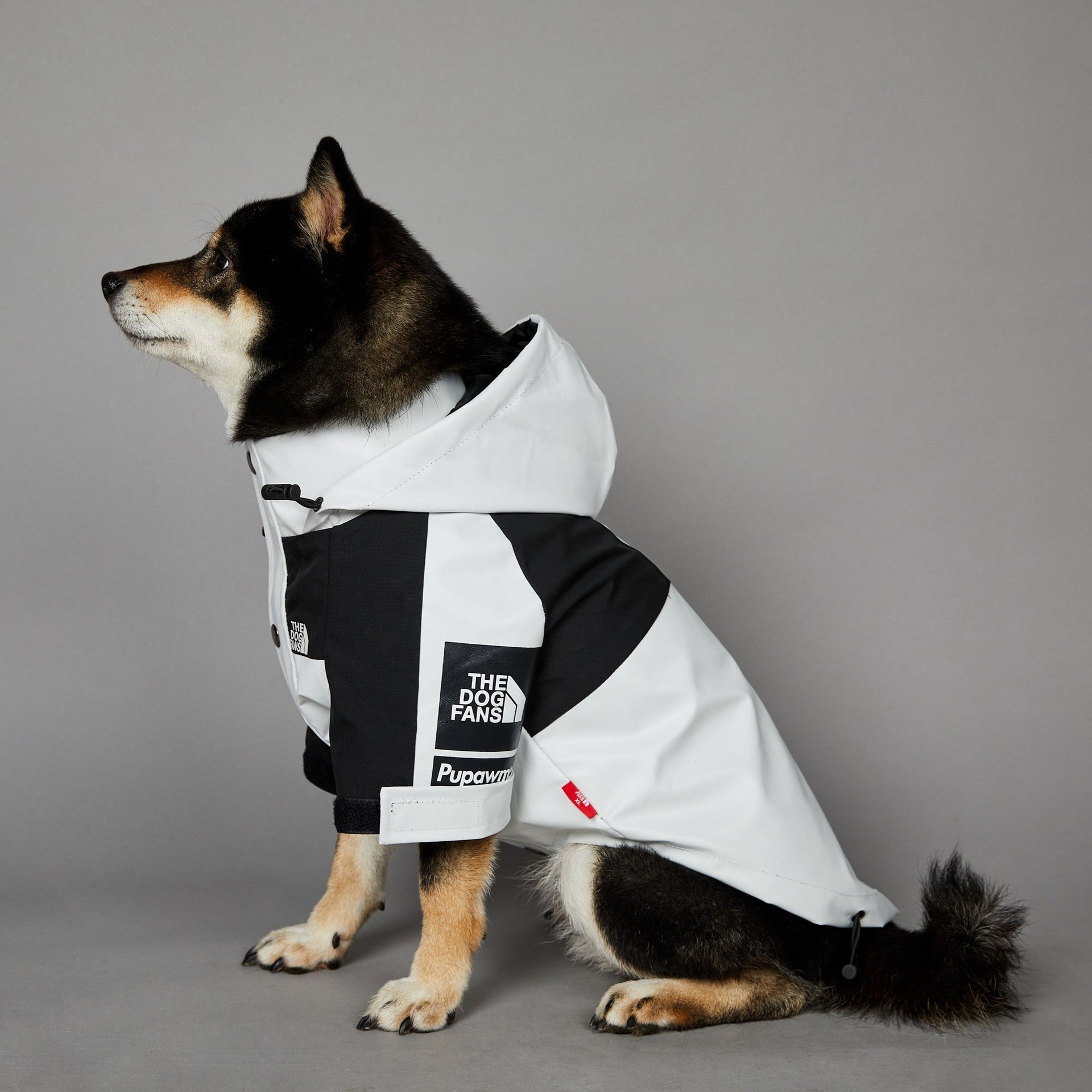 KFX-3836477 Light Green Windproof and Rainproof Large Dog Shell Jacket - Sizes S to 5XL