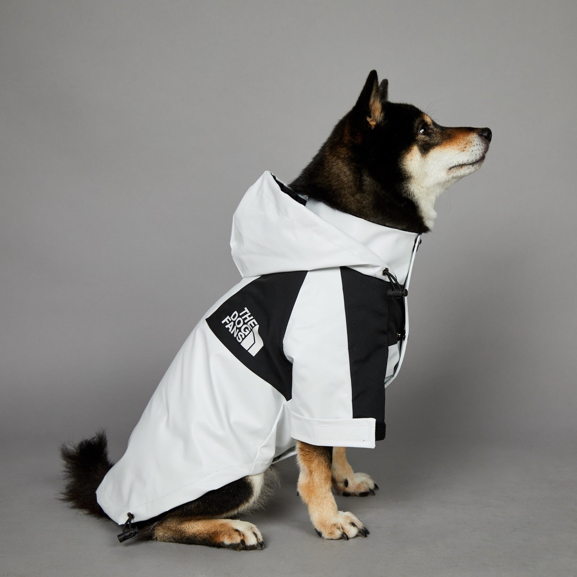 KFX-3836477 Light Green Windproof and Rainproof Large Dog Shell Jacket - Sizes S to 5XL