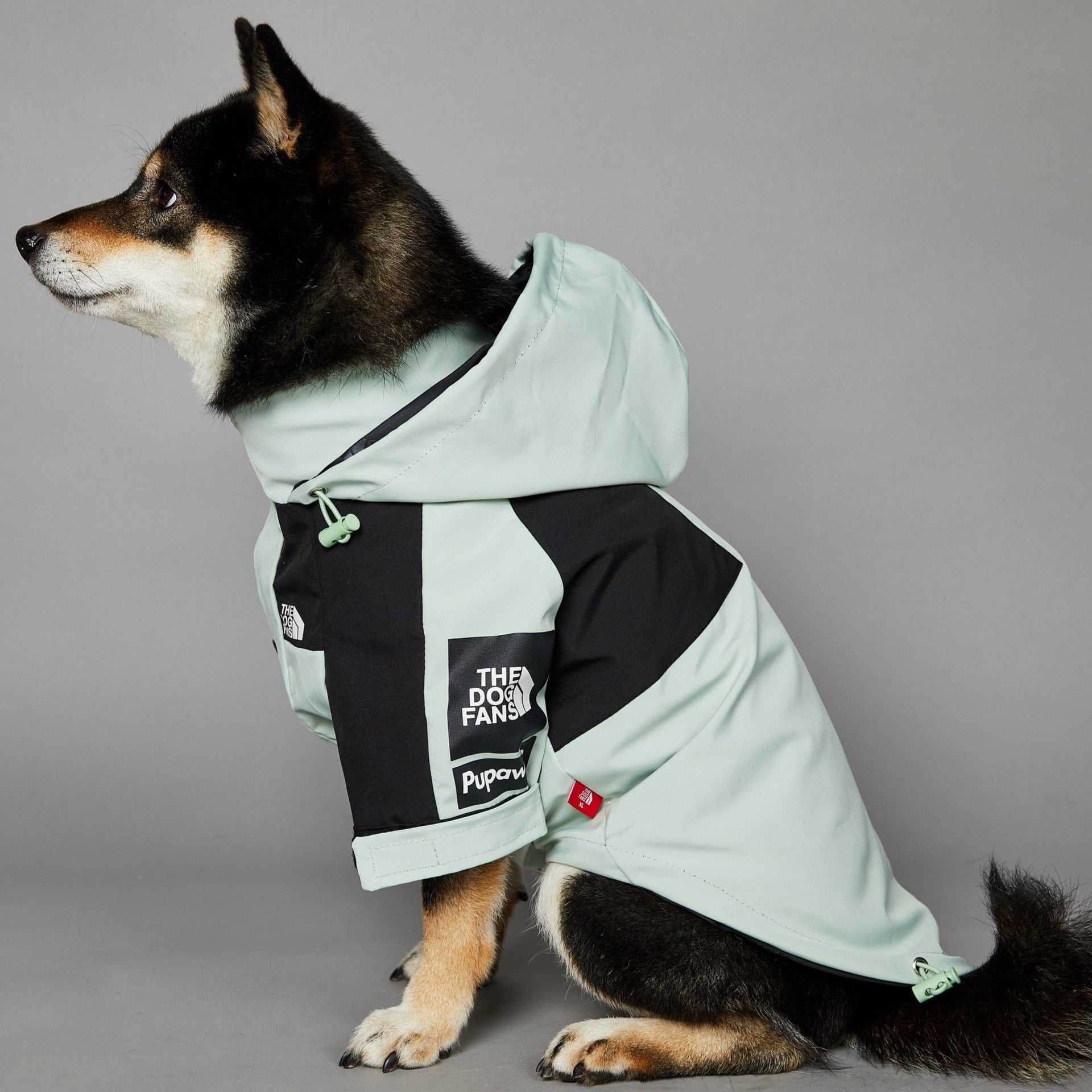KFX-3836477 Light Green Windproof and Rainproof Large Dog Shell Jacket - Sizes S to 5XL