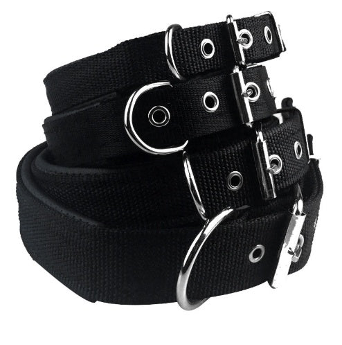 KFX-3842621 Adjustable Nylon Foam Leather Dog Collar with Soft Lining in Multiple Colors