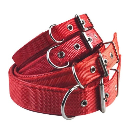 KFX-3842621 Adjustable Nylon Foam Leather Dog Collar with Soft Lining in Multiple Colors