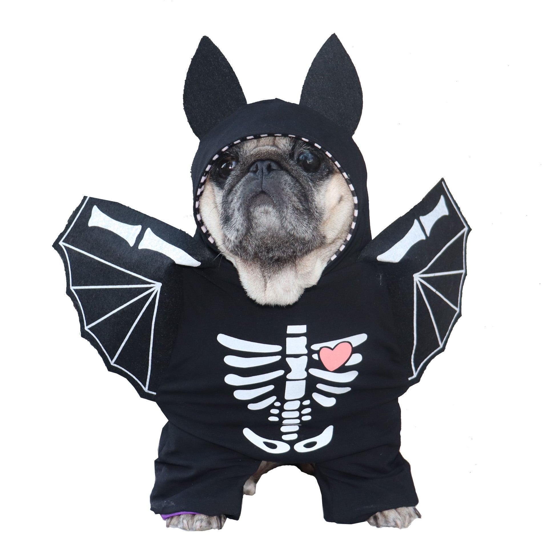 KFX-3843005 Stylish Black Bat Costume for Dogs - Transforming Pet Outfit in Various Sizes