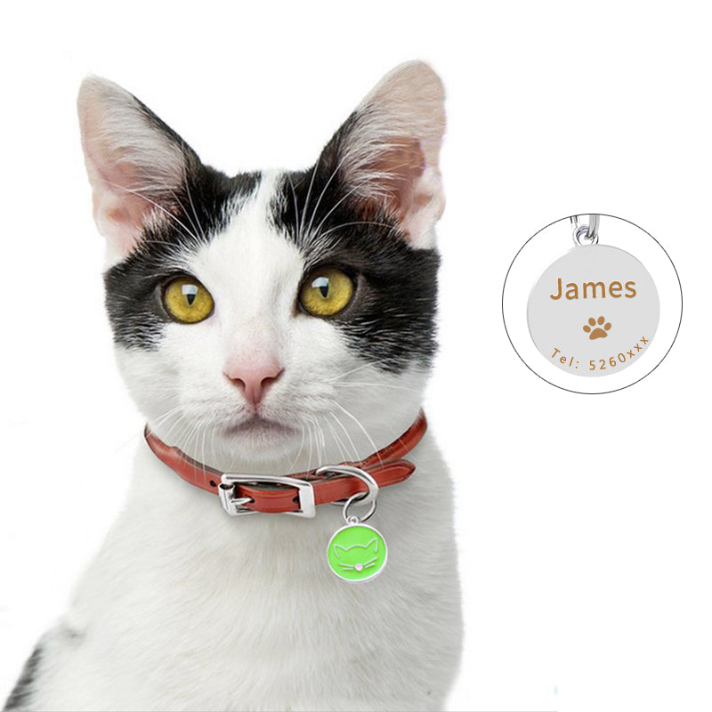 KFX-3846461 Cartoon Pet Collar Pendant in Multiple Colors for All Seasons
